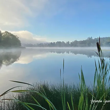 بيت ضيافة Fruehstueckspension Zur Krone