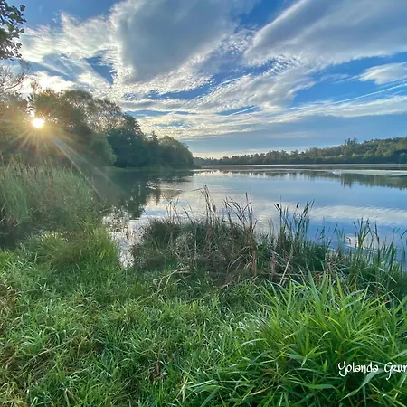 بيت ضيافة Fruehstueckspension Zur Krone 3*