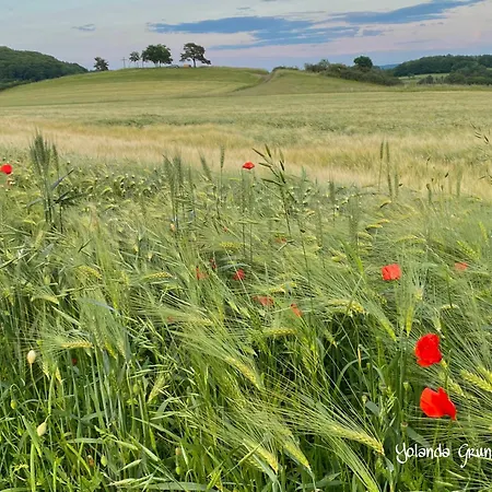 Fruehstueckspension Zur Krone بيت ضيافة Bad Endbach