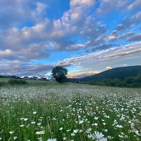 Fruehstueckspension Zur Krone 3* Bad Endbach