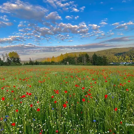 Fruehstueckspension Zur Krone بيت ضيافة