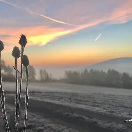 Fruehstueckspension Zur Krone