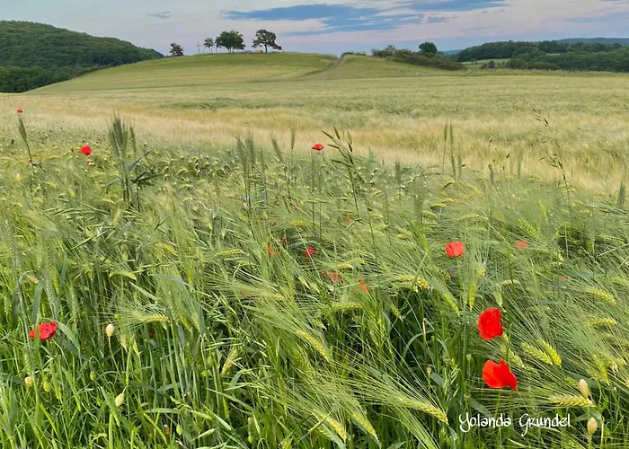Fruehstueckspension Zur Krone Guest house Bad Endbach