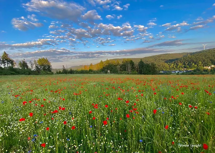 Fruehstueckspension Zur Krone Guest house